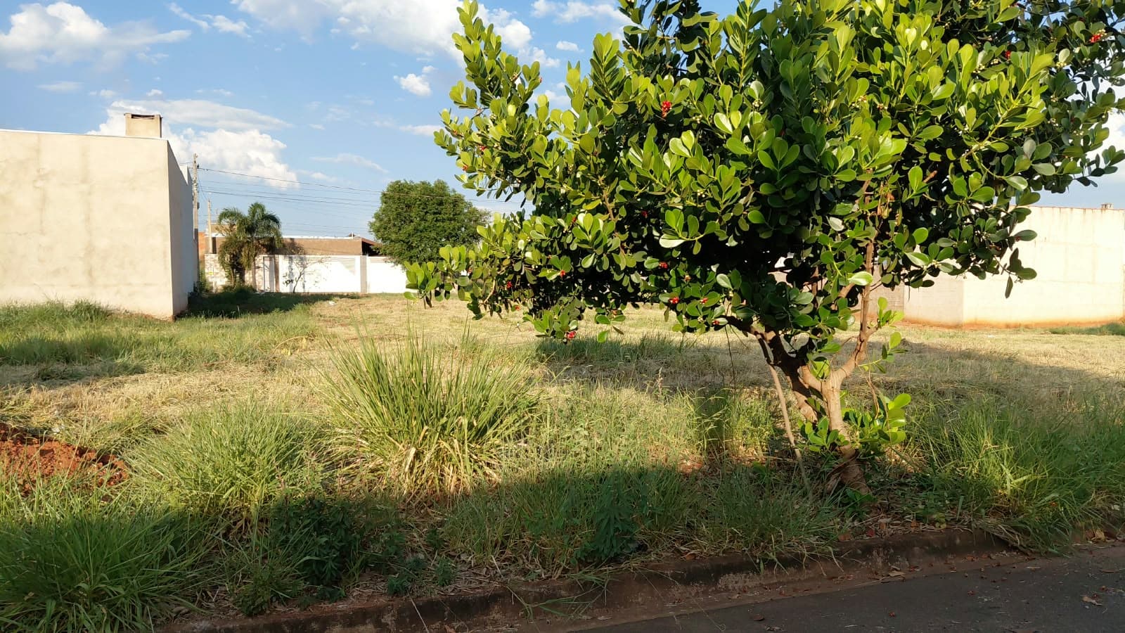Terreno à venda: Quadra 16, Lote 10, Rua Elvio Pigari, Residencial Nova Jales, Jales/SP