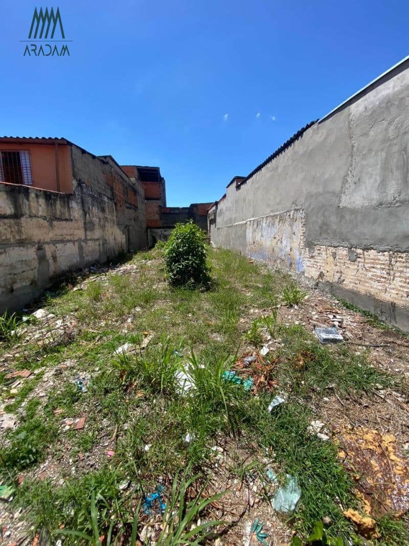 Terreno à Venda no Bairro Saúde Excelente Localização e Grande Potencial — foto 5